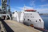 Grey ship at dock loaded with cattle from Victoria to China