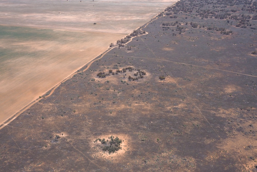 An aerial shot of a swathe of desert.