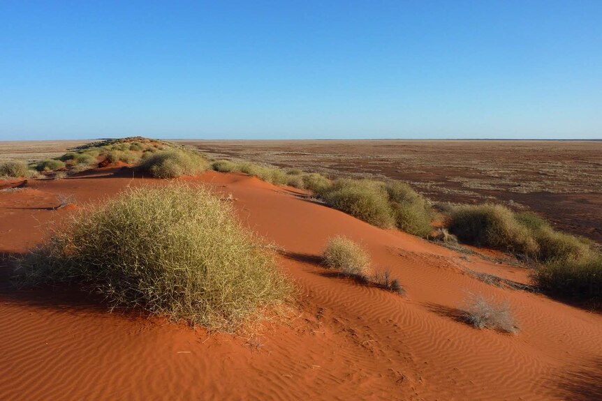 Sand Dunes near Andado, Northern Territory.