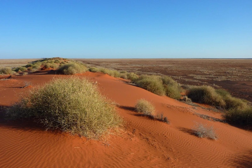 Sand Dunes near Andado, Northern Territory.