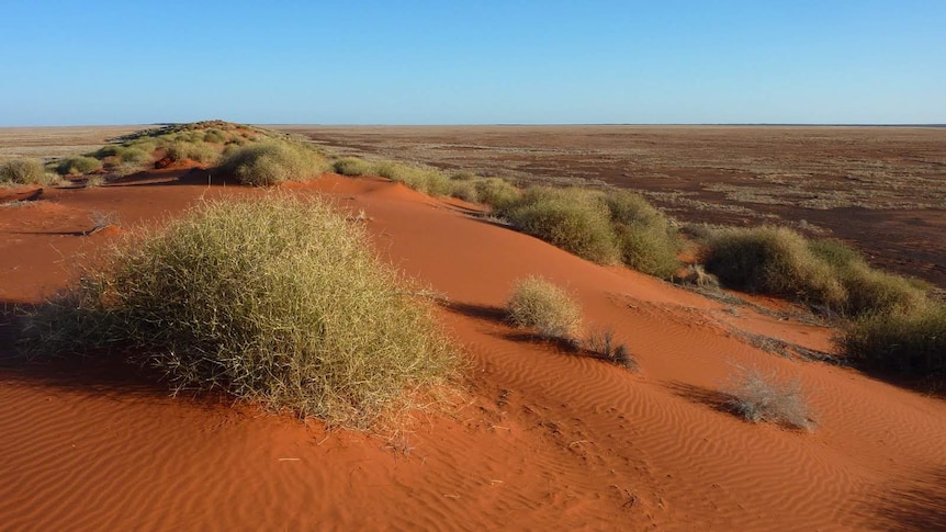 Sand Dunes near Andado, Northern Territory. Photo: Christopher Watson, Wikimedia Commons.