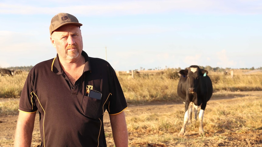 Dairy farmer, Brad Teese standing in a paddock with dairy cows in the distance.