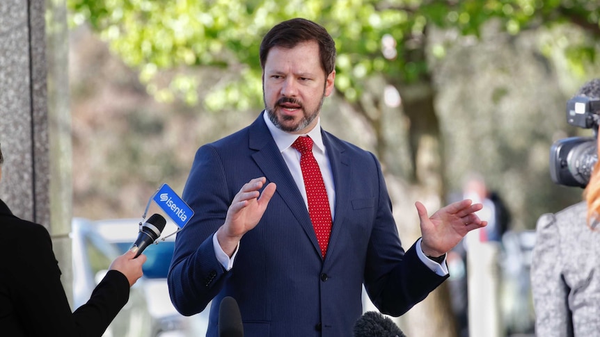 Ed Husic wears a red spotted tie, dark navy suit and gestures and speaks to reporters at a doorstop in canberra.