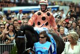 Black Caviar after her 18th win