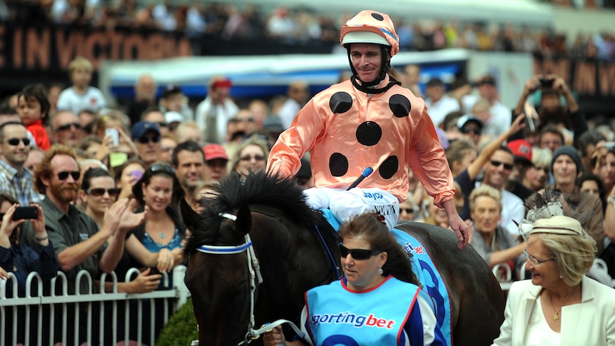 Black Caviar after her 18th win