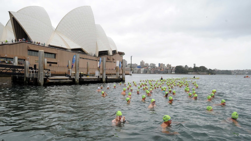 Australia Day 2015 Great Sydney Swim