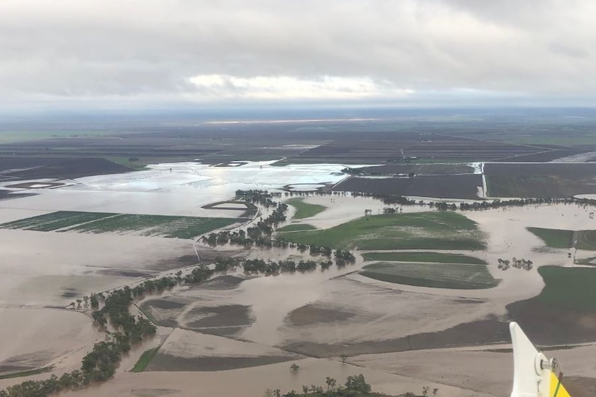 A photo taken from a plane shows farm fields covered in brown floodwater amid brown dirt and green grass