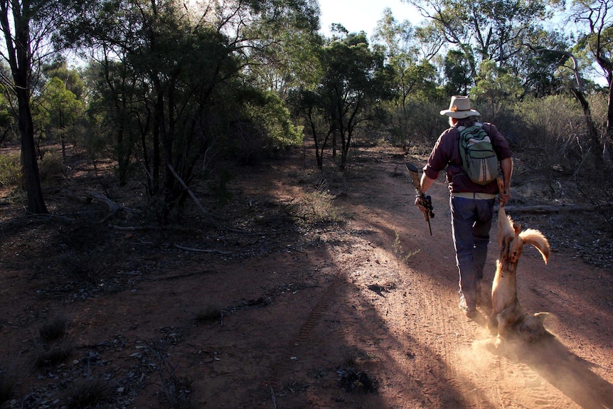 Don Sallway drags the body of a wild dog he shot after it got caught in a trap.