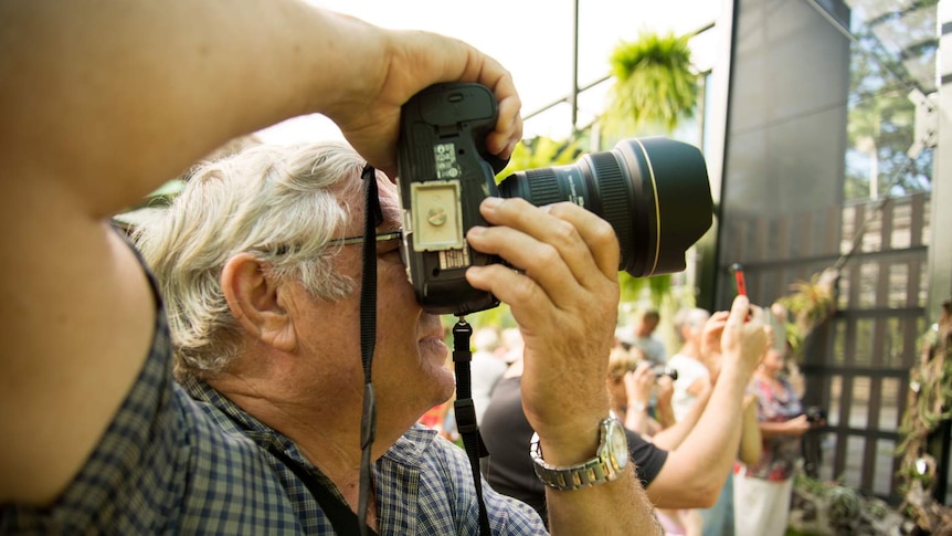 Ian Laidlaw looks through the lens to take a photo of the corpse flower.