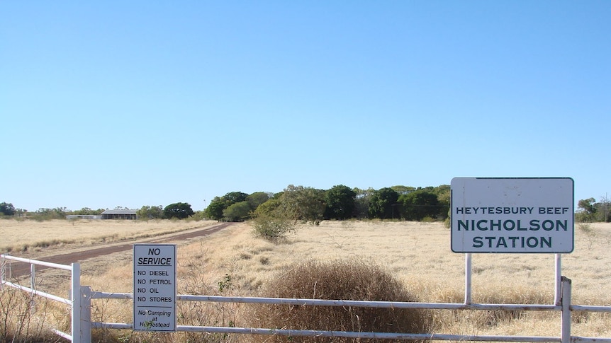 Nicholson Station, owned by Heytesbury Beef, is situated on the NT/WA border.