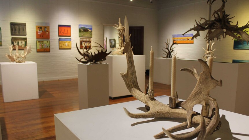 A gallery space filled with deer antler sculptures and