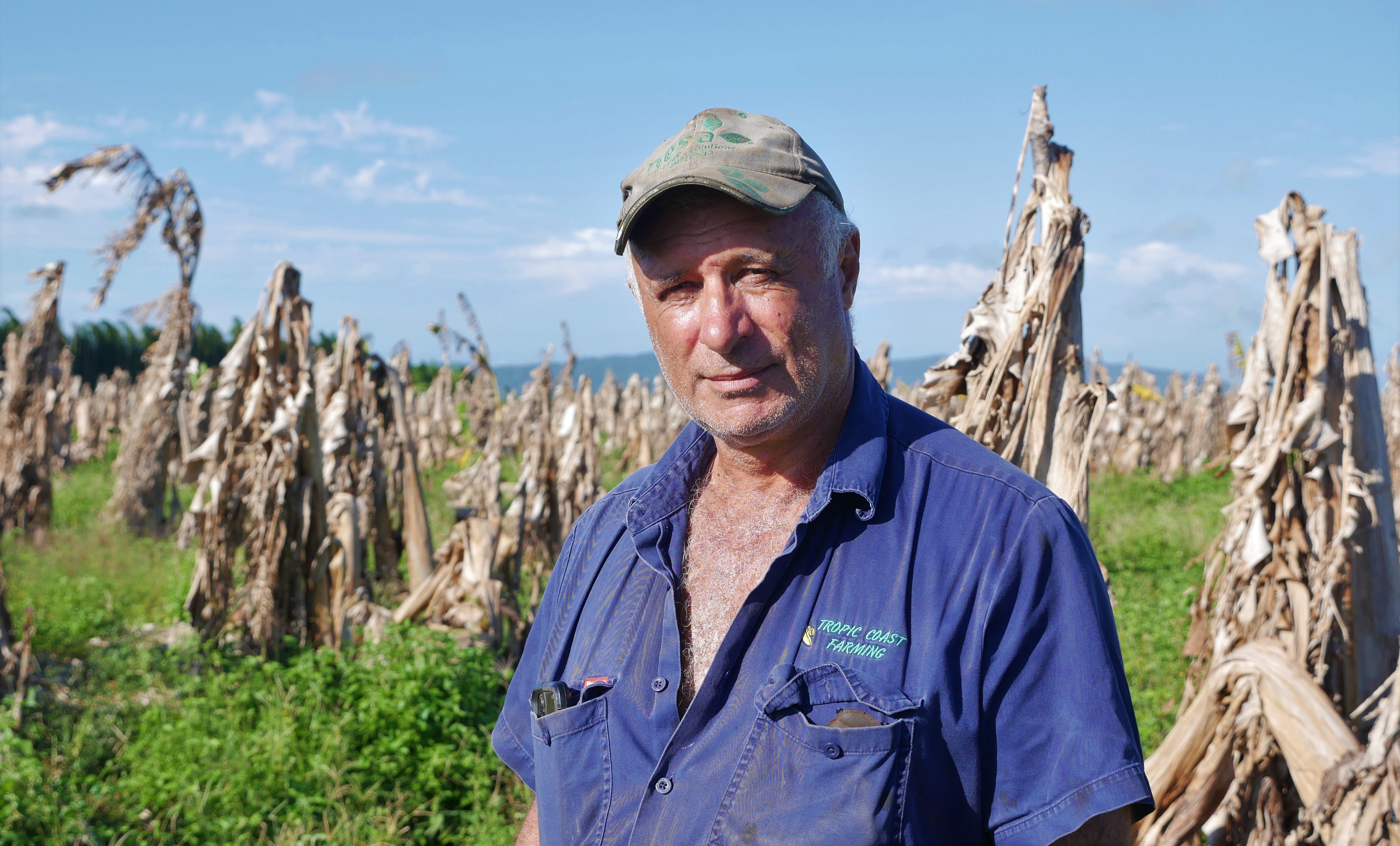 banana farmer standing in front of dead trees