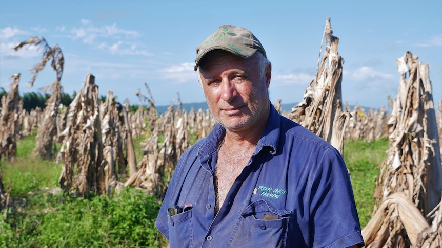 After five major wipe-outs, this banana farmer is calling for a grower-funded disaster assistance pool