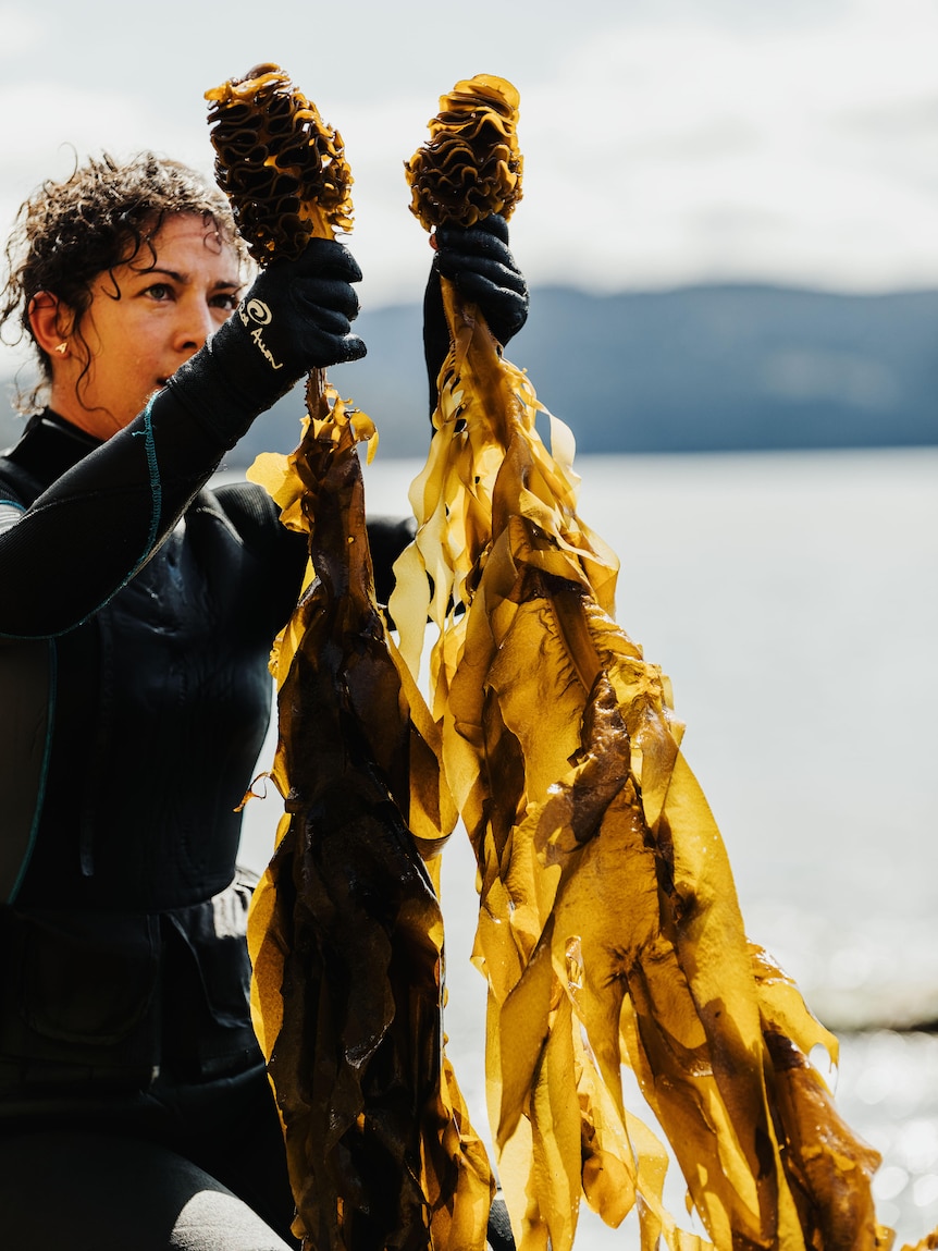 Woman in wetsuit holds up two bits of sea weed 