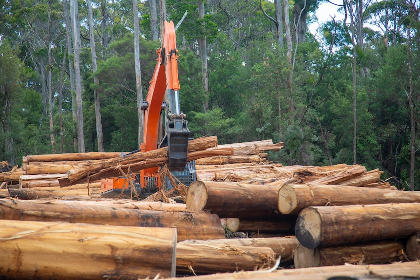 A logging truck handling timber.