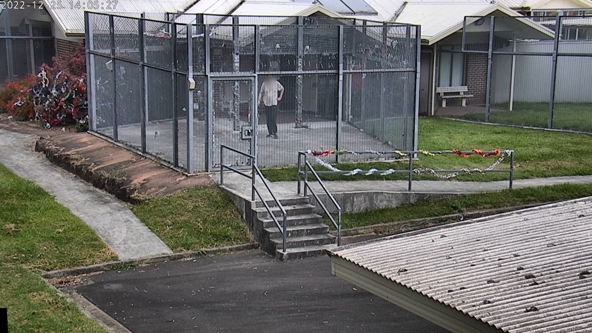 Adrian paces his caged outdoor space