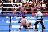 Manny Pacquiao stands over Jeff Horn
