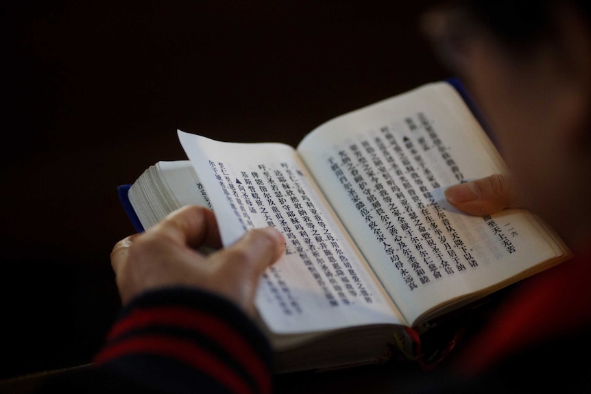 A believer reads the bible during mass.