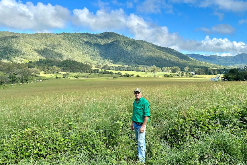A man stands in front of a lush paddock.