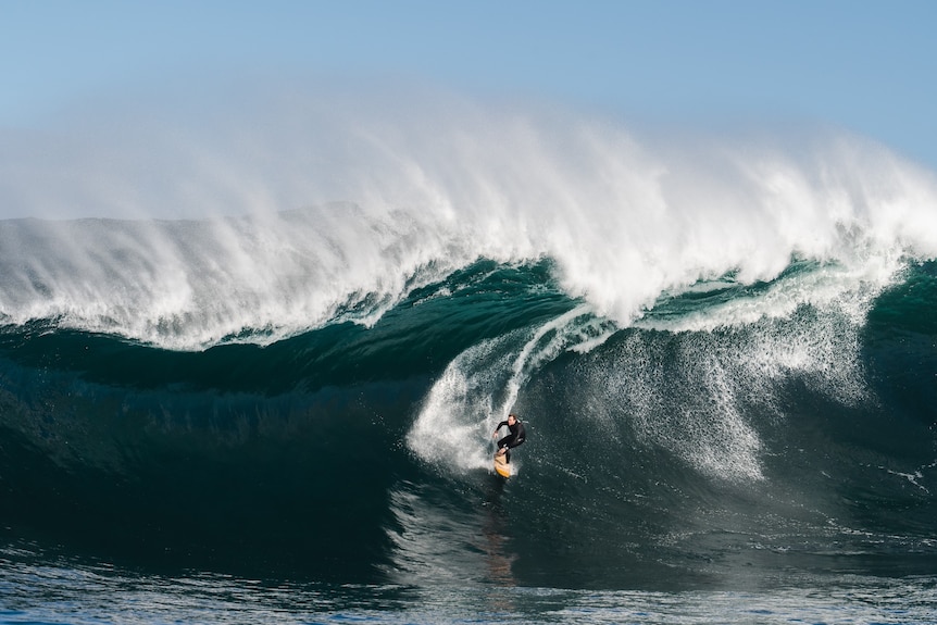 Surfer at bottom of large wave.