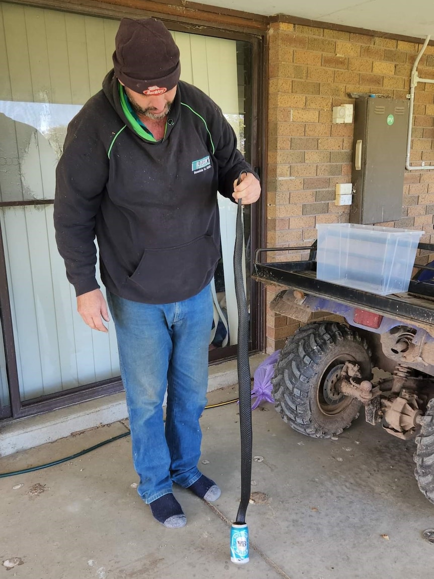 A man holds the tail of a snake that has its head stuck in a can of beer.