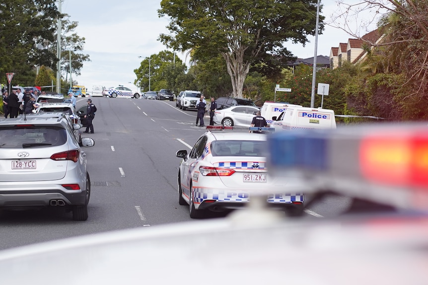 Police cars are parked on a street where a person was stabbed