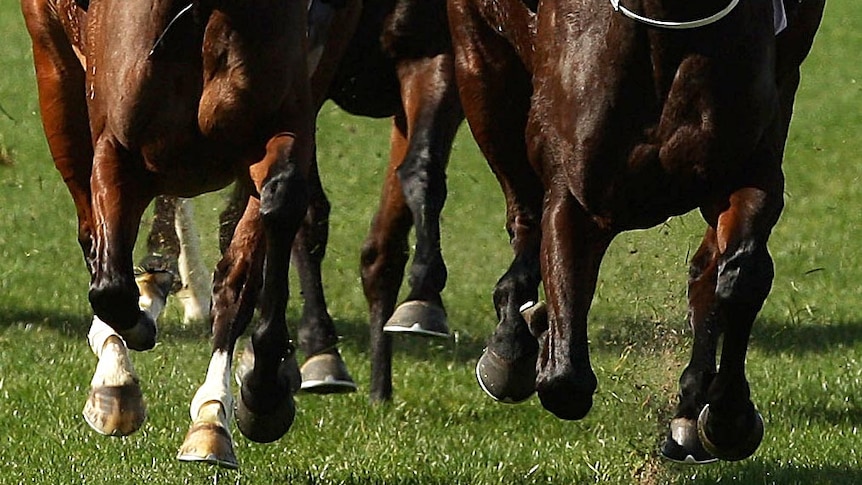 A strong finish from local outsider, Kinetics at the Muswellbrook Cup.