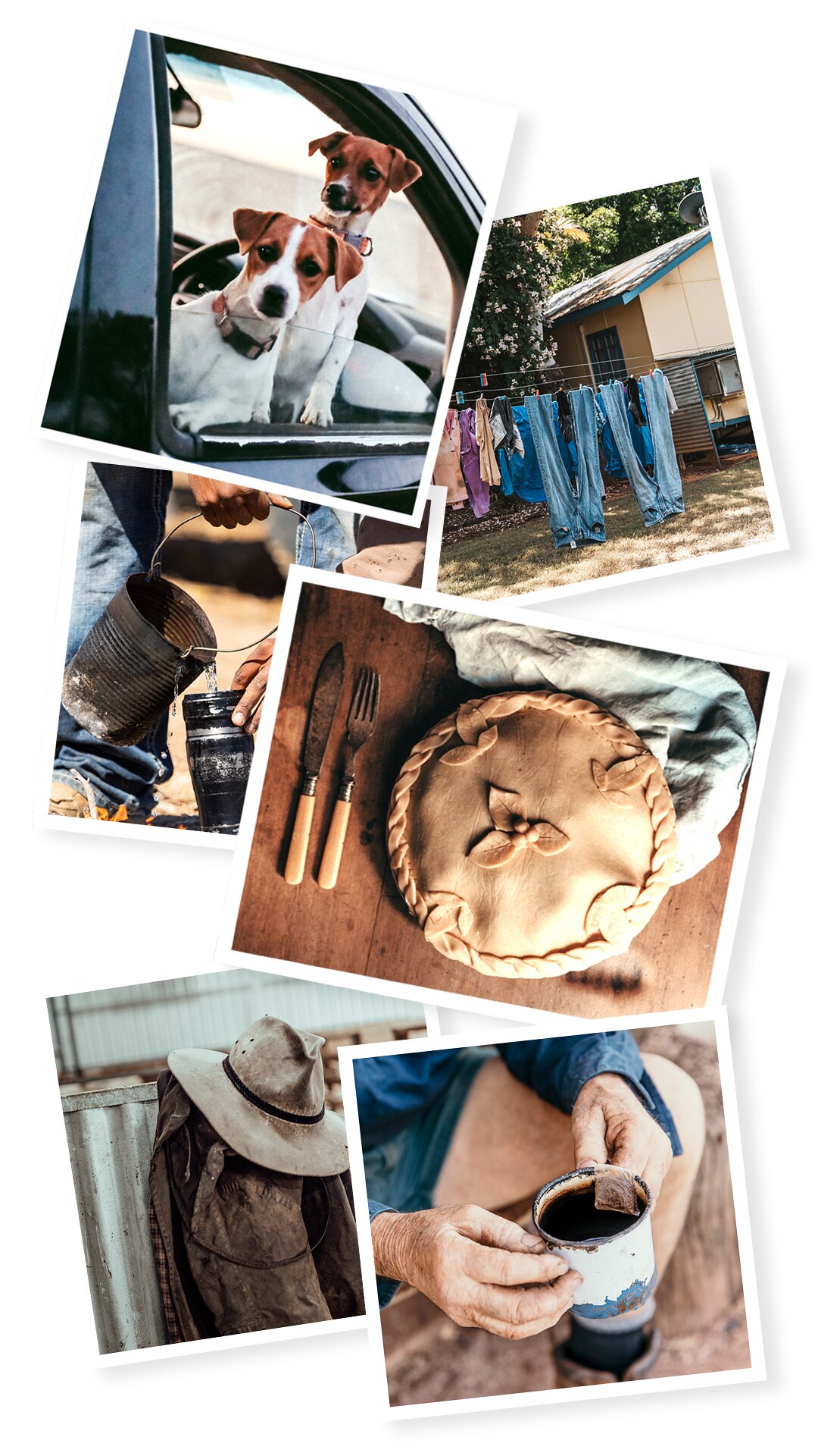 A group of images including dogs looking out a window, jeans hanging on a line, a pie, a billy pouring, a hat and workers hands