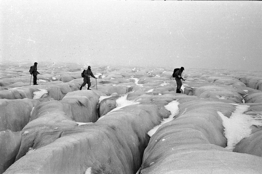 Expeditioners on a glacier in 1953