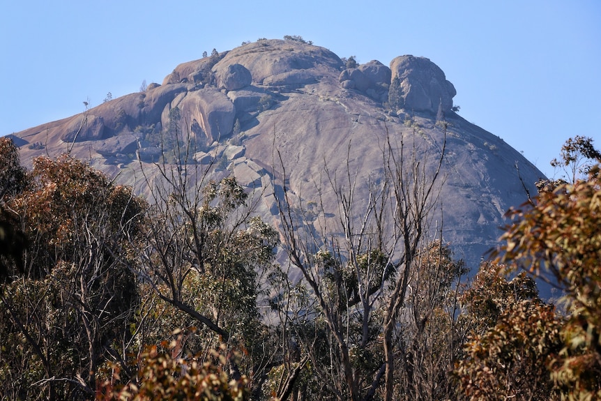 A rocky outcrop in a Queensland national park