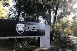 Long black entrance sign at gateway to University of Wollongong on granite stone with trees behind.