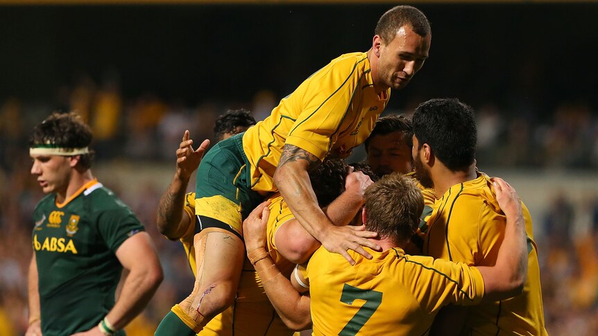 Try time ... The Wallabies celebrate Scott Higginbotham's five-pointer