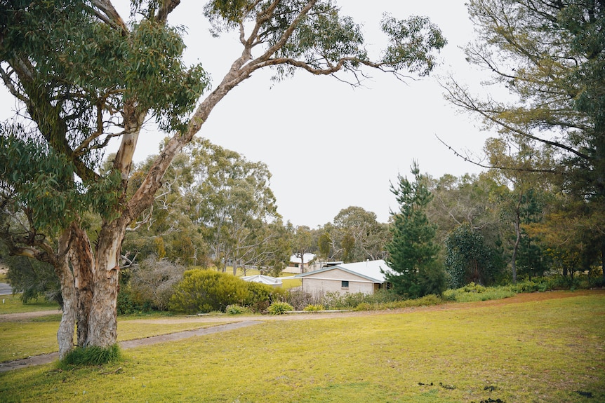 Trees and grass surround a white building.