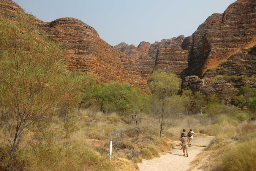 A wide shot showing hikers walking along a path leading up to the Bungle Bungle range in the WA Kimberley.