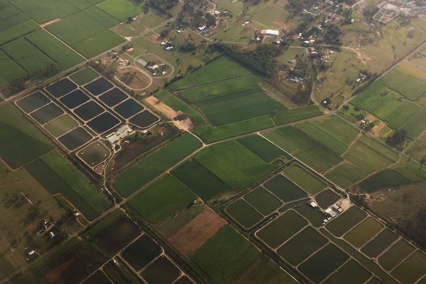 Aerial of prawn farms along the Logan river