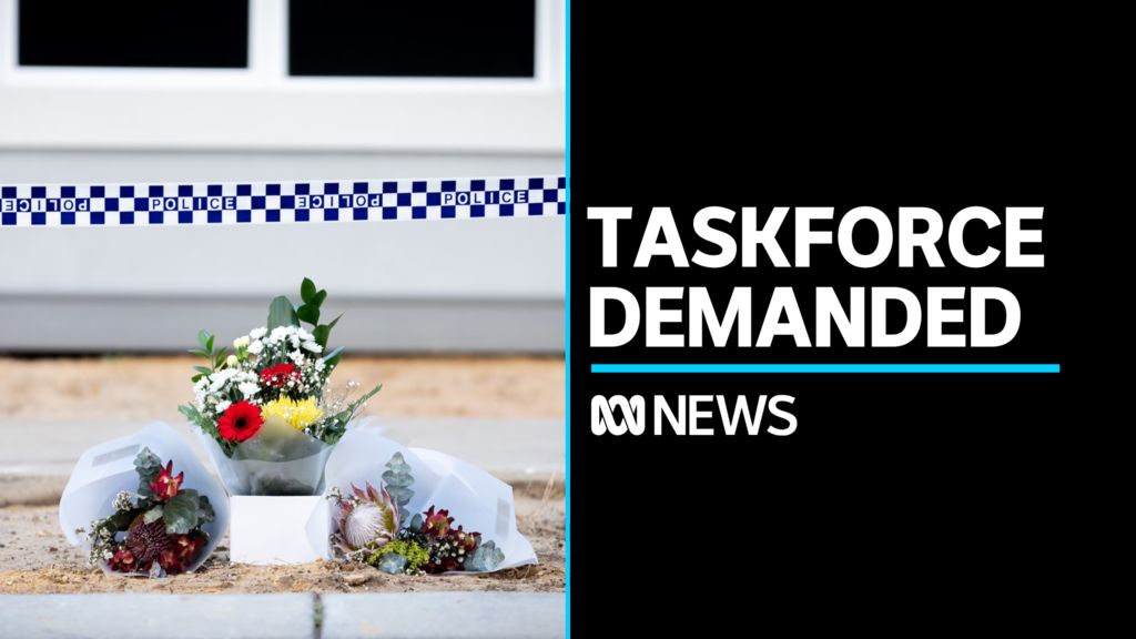 ABC News WA: Calls for WA government to establish domestic violence ...