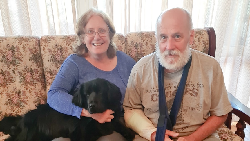 A couple sitting on the couch with their black spaniel across their laps.