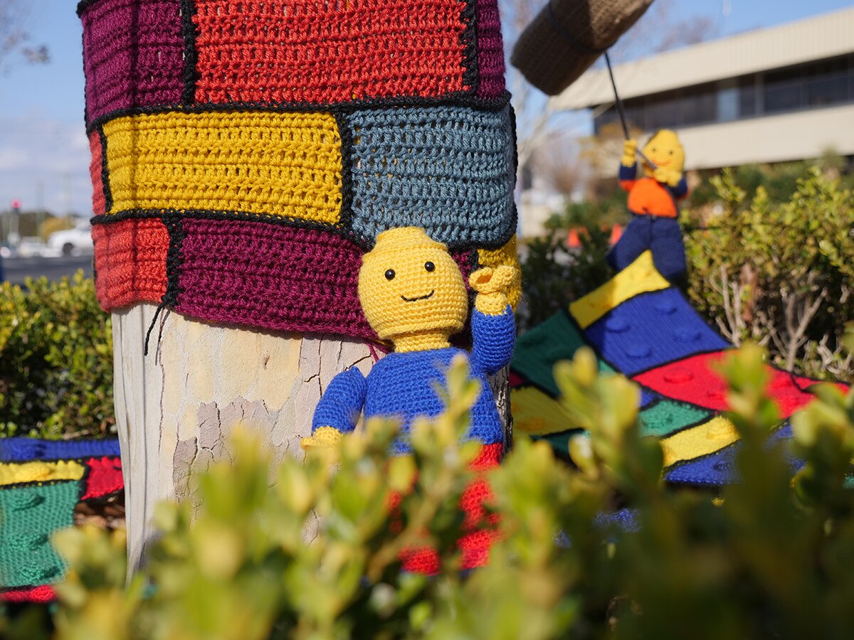 Yarn bombing Warwick's trees lifts town's spirits during long drought