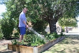 Man stands hosing a raised garden bed on a footpath.