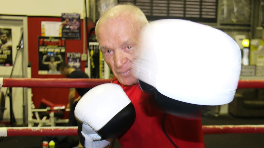 Australia's oldest amateur boxer Denis Cherry