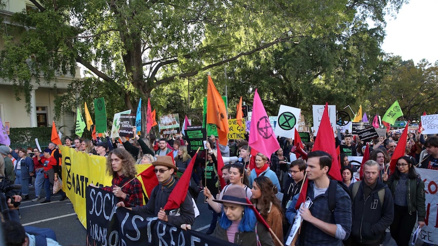 Hundreds of people holding flags and signs about the environment and climate change march on the road in Brisbane CBD.