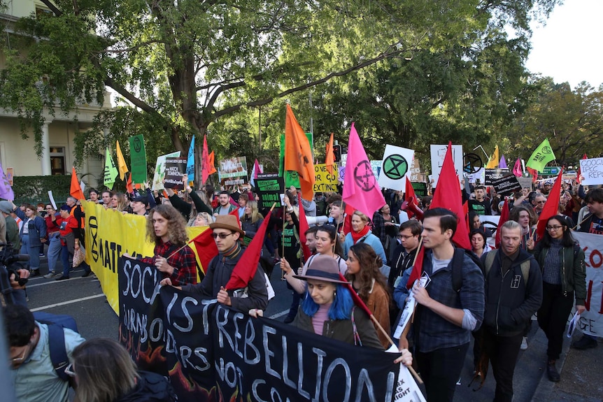 Hundreds of people holding flags and signs about the environment and climate change march on the road in Brisbane CBD.