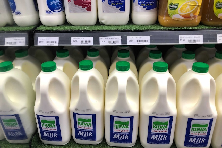 Image of milk shelves in a store featuring Kiewa Milk