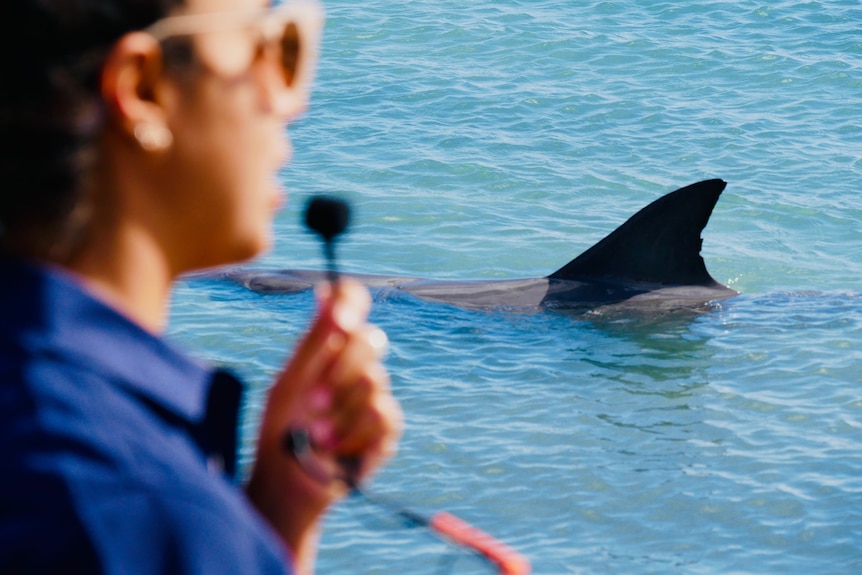 Dolphin instructor talking with dolphin in the background.