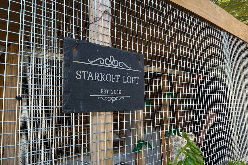 A plaque saying 'Starkoff Loft, established 2016, hangs from a big pigeon cage.