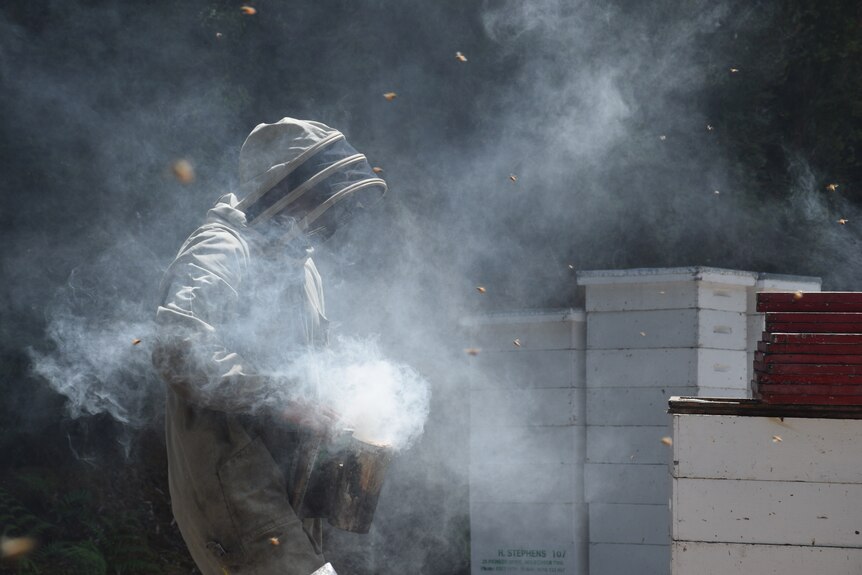A white suited beekeeper is enveloped by a mysterious cloud of white smoke.