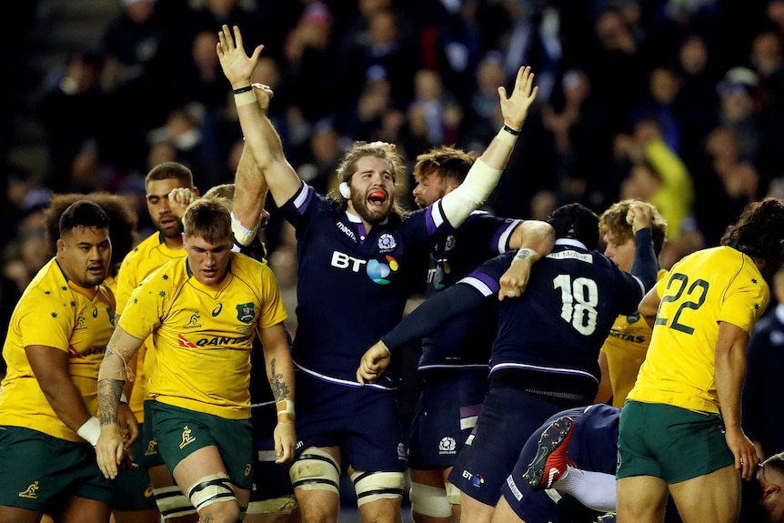 Scotland's Ben Toolis celebrates during the victory over Australia at Murrayfield in Edinburgh.