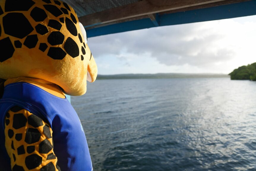 Solo the mascot looking out over the waves