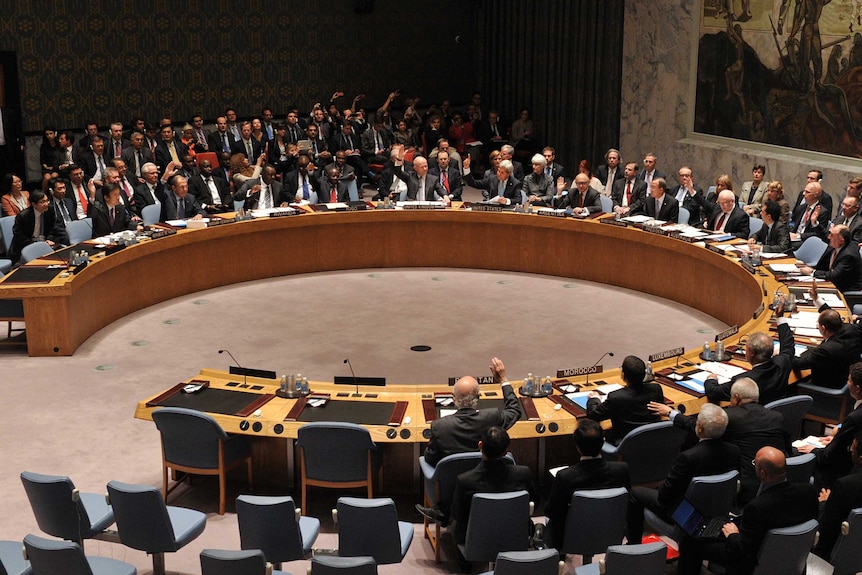 UN Security Council vote