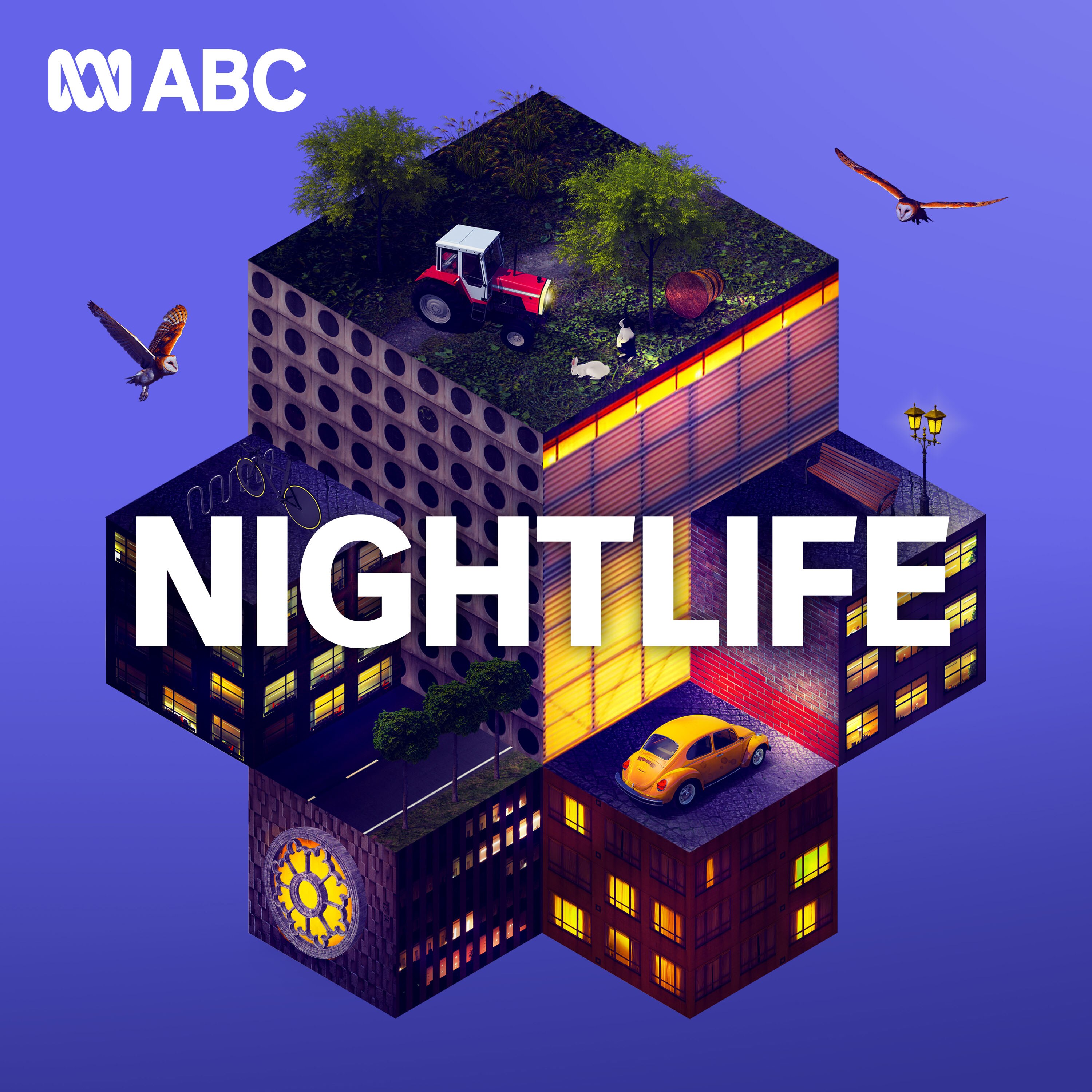 Podcast Image